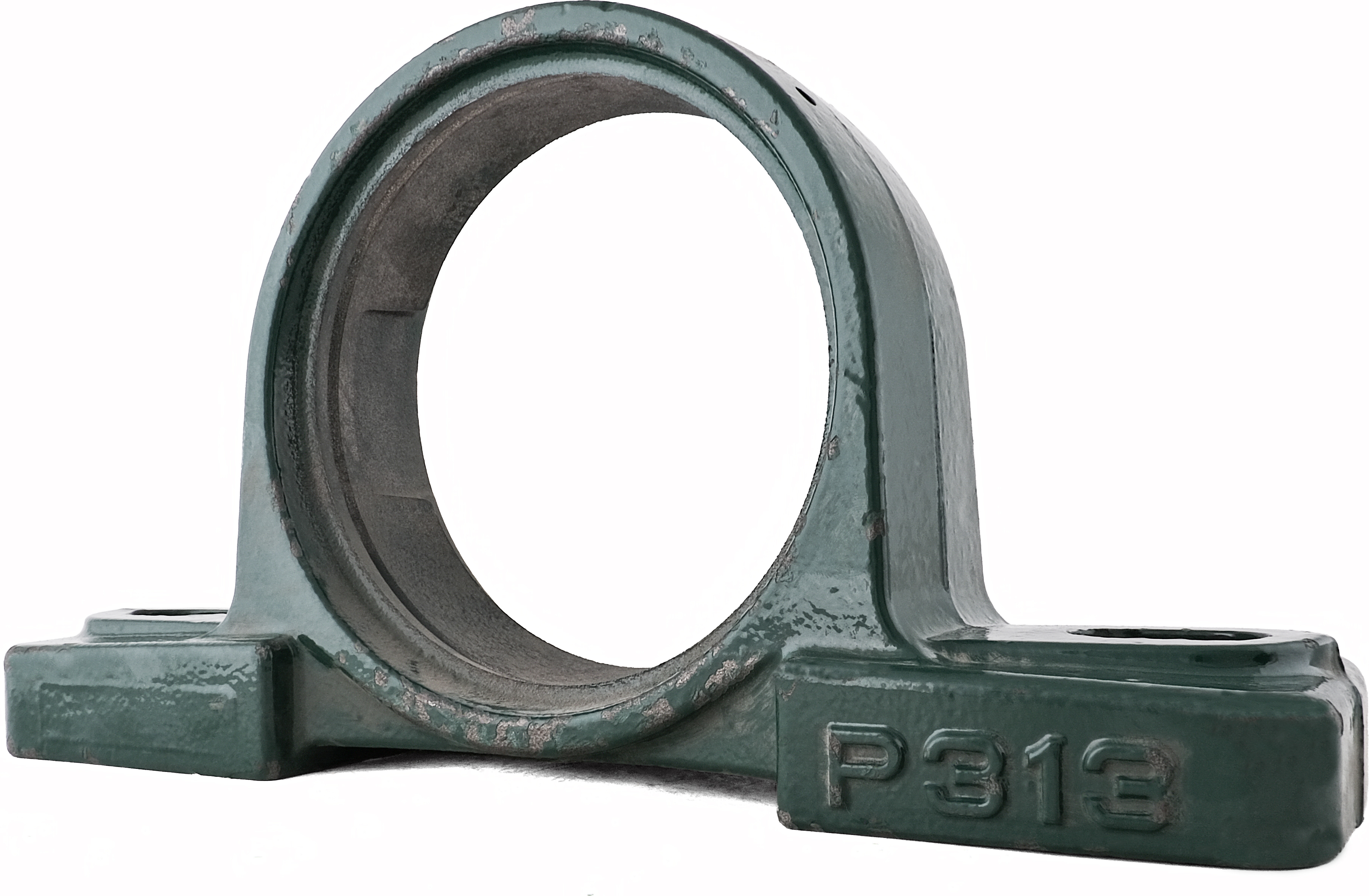 P 313 NTL