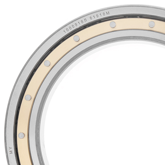 1000918 2RS (61918 2RS)