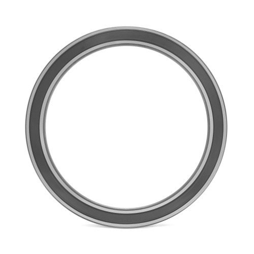 1000828 2RS FBC (ГОСТ)