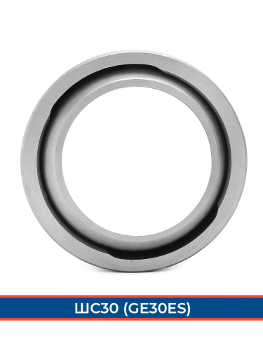 GE 30 ES 2RS FBC (ISO) фото
